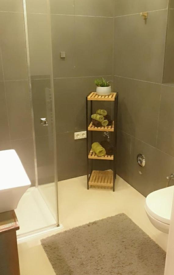 Apartment Mit Schoener, Moderner Einrichtung 科隆 外观 照片